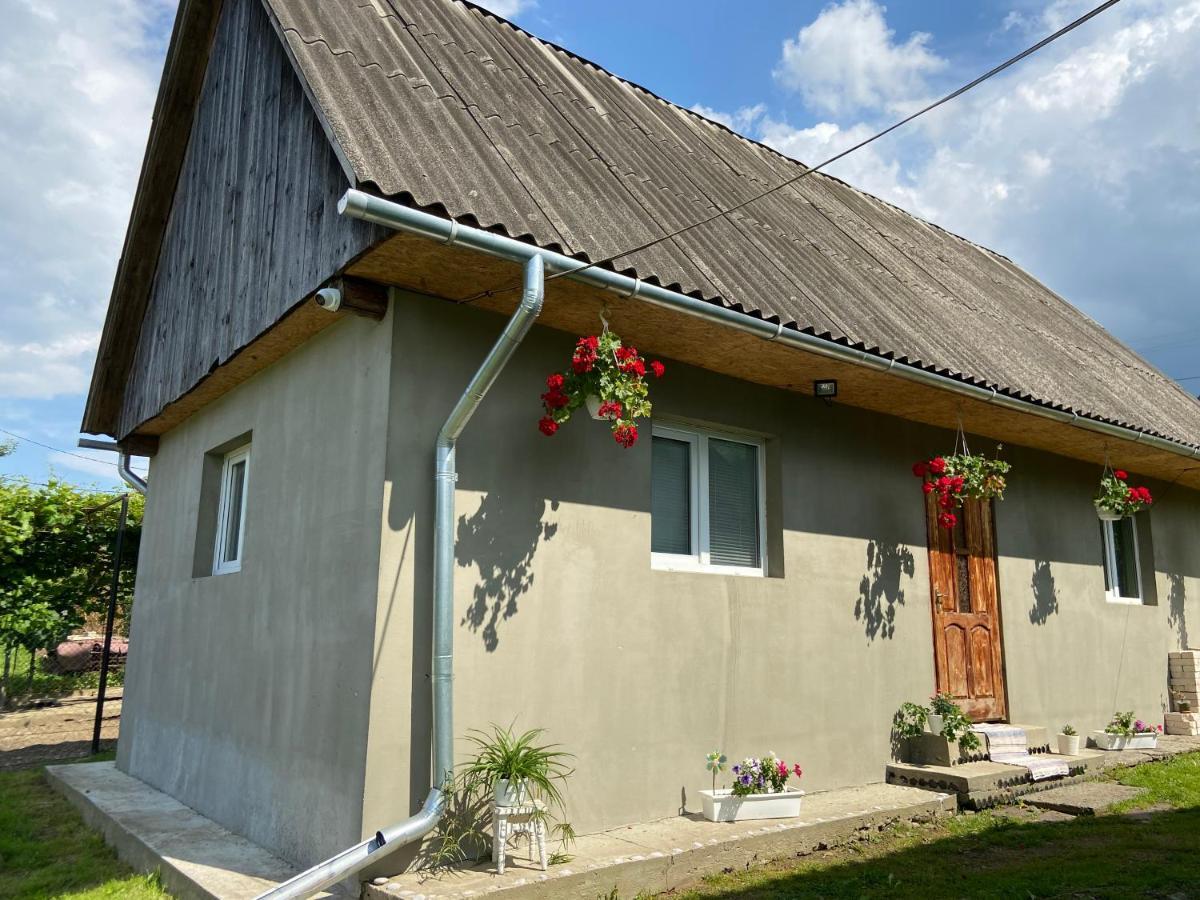 Біля Саду Volovets Luaran gambar